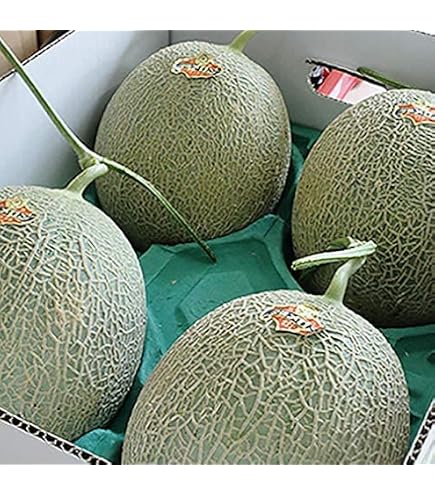 Amazon.co.jp: 発送中 夕張メロン 8kg 夕張メロン 良品 訳あり 夕張